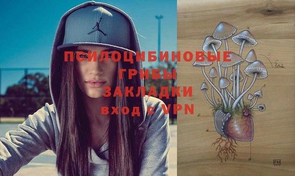 ALPHA PVP Вяземский
