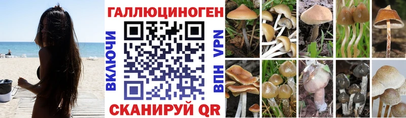 Галлюциногенные грибы прущие грибы  MEGA ссылка  Ессентукская 