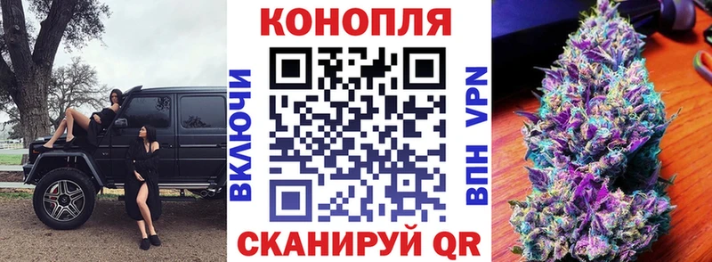 как найти наркотики  Ессентукская  Конопля SATIVA & INDICA 
